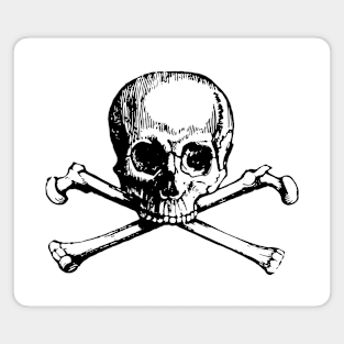 Skull and Cross Bones Magnet